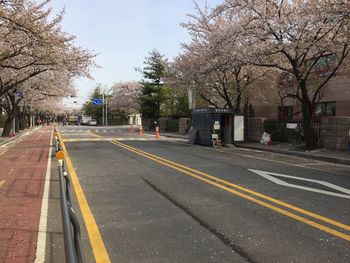 Road by trees against sky