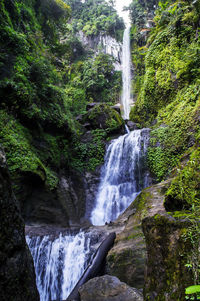 Scenic view of waterfall in forest