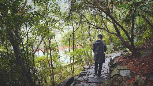 Rear view of man standing in forest