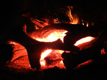 Close-up of bonfire at night