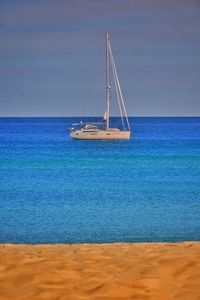 Sailboat sailing in sea against sky