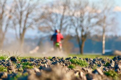 Person on field against trees