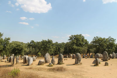 Panoramic view of stone in a morning