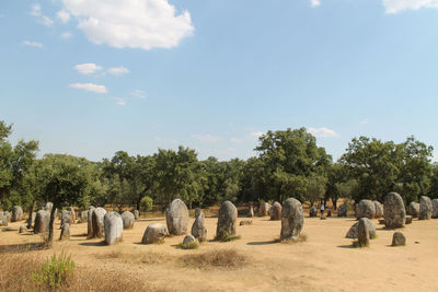 Panoramic view of cemetery against sky