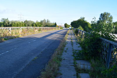 Road along trees