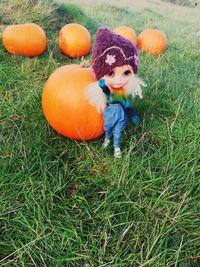 View of pumpkins on field