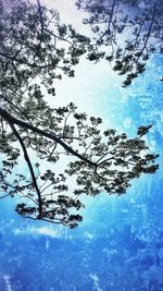 Low angle view of bare trees against blue sky