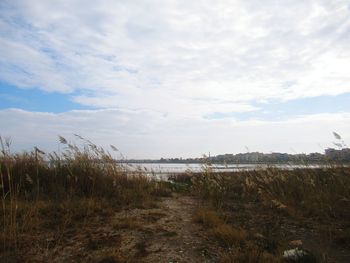 Scenic view of field against sky