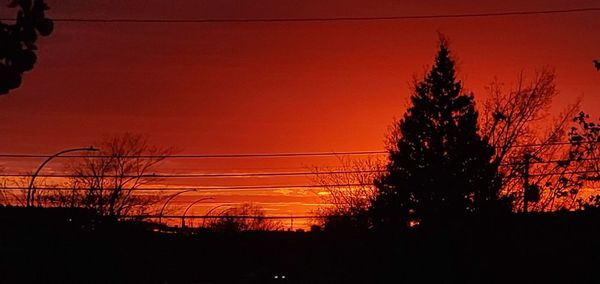 Silhouette trees against orange sky