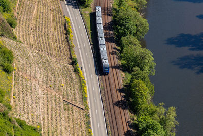 High angle view of road by trees in city