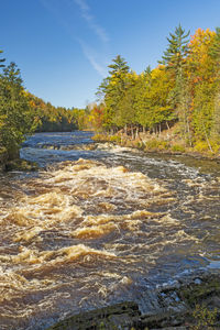 Scenic view of waterfall in forest against sky