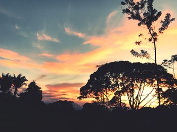 Low angle view of silhouette trees against sky during sunset