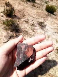 Close-up of hand holding rock