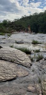 Scenic view of river amidst trees against sky