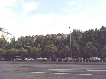 Empty road by trees against sky in city