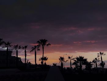 Silhouette palm trees against sky during sunset