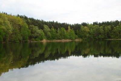 Scenic view of lake in forest against sky