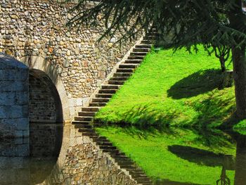 View of canal along trees in park