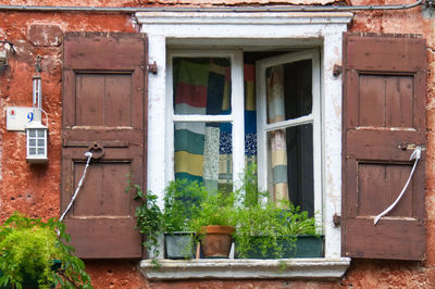 Potted plants on old abandoned building