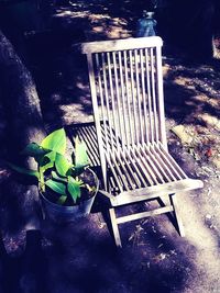 High angle view of potted plants in yard