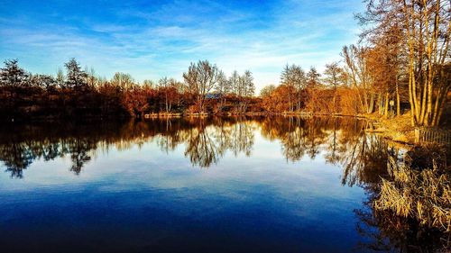 Reflection of trees in calm lake