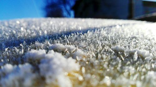 Close-up of frozen grass