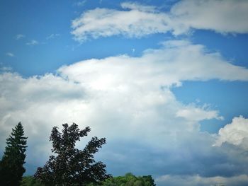 Low angle view of trees against sky