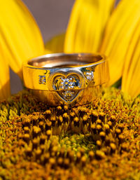 Close-up of yellow flowers on table