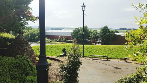 Trees growing on field