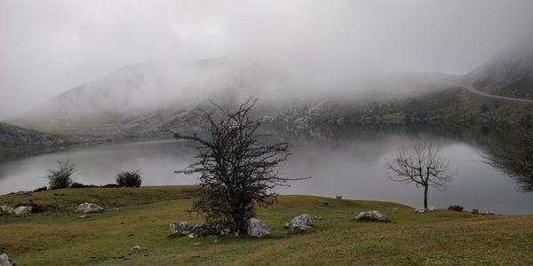 Scenic view of lake against sky during foggy weather