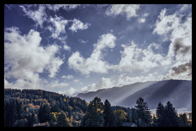 View of trees against cloudy sky