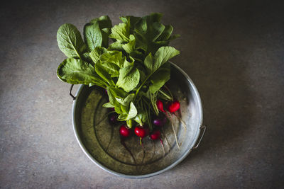 High angle view of vegetables in bowl on table