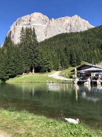 Scenic view of lake by trees against sky