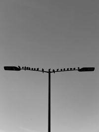 Low angle view of birds perching on street light against sky
