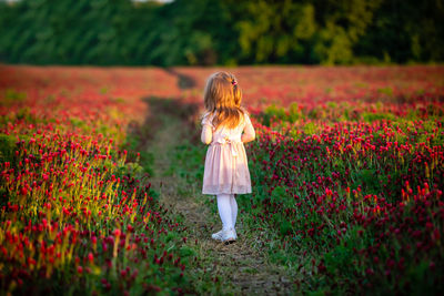 Girl standing amidst pink flowers on field