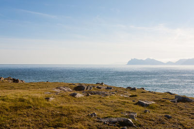 sea