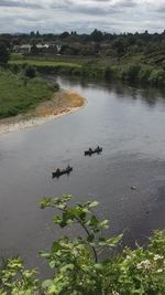 High angle view of ducks on lake against sky