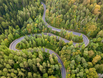 Aerial view of winding road in high mountain pass trough dense green pine woods.