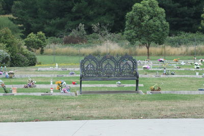 Scenic view of trees