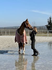 Full length of horse standing on shore against sky