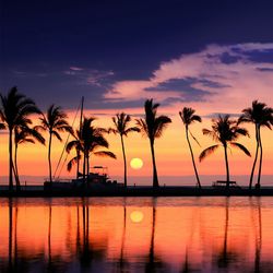Silhouette palm trees by sea against sky during sunset