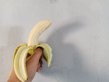 Midsection of person holding fruit against wall