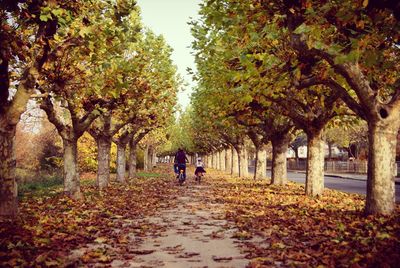 Rear view of people riding bicycle on leaves covered road during autumn