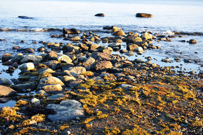 Rocks in sea