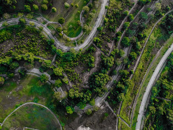 High angle view of trees by road in city