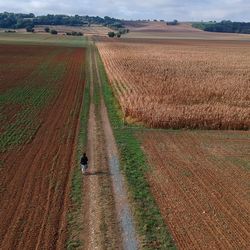 Scenic view of agricultural field