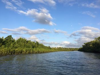 Scenic view of lake and trees against sky