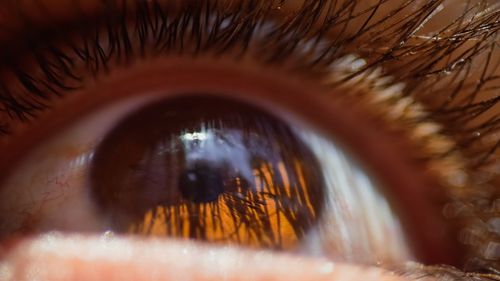 Extreme close-up of human eye