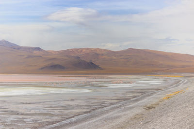 Scenic view of desert against sky