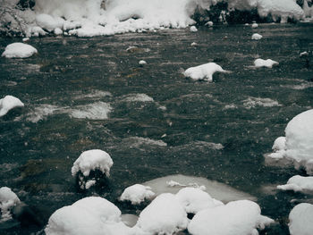 White birds in snow covered landscape